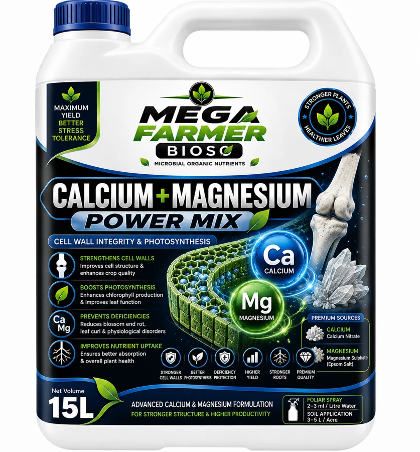 CALCIUM + MAGNESIUM POWER MIX