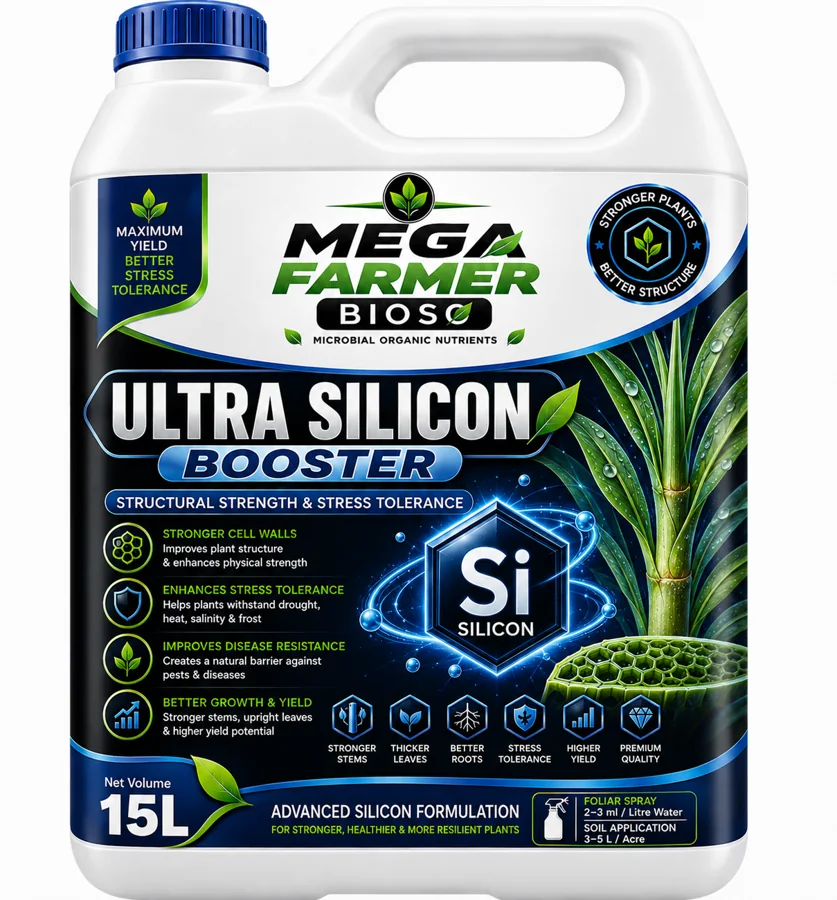 ULTRA SILICON BOOSTER